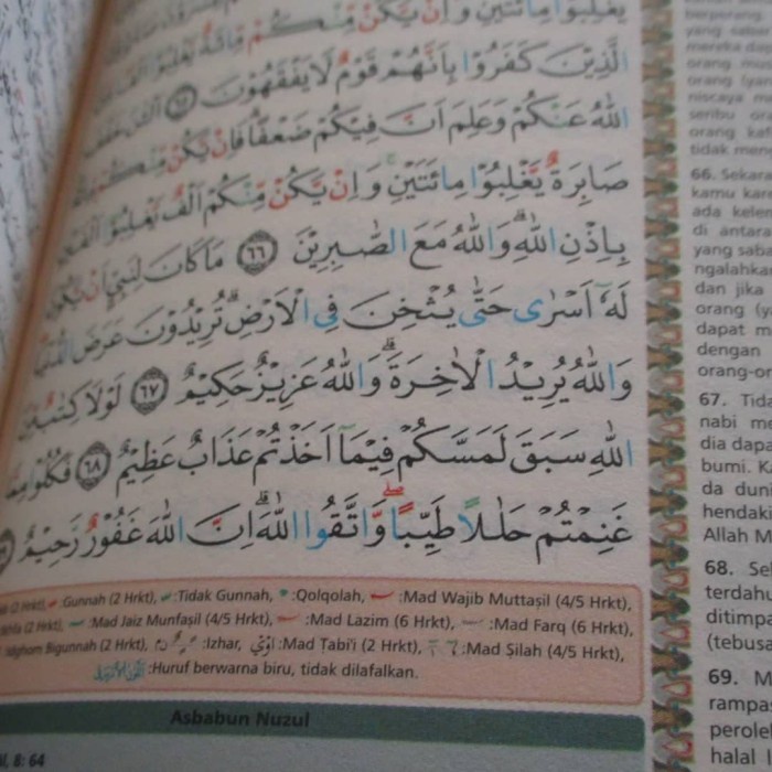 

PR0M0 Al Qur'an Al Quran Alquran Travel Terjemah Tajwid warna A6 kecil