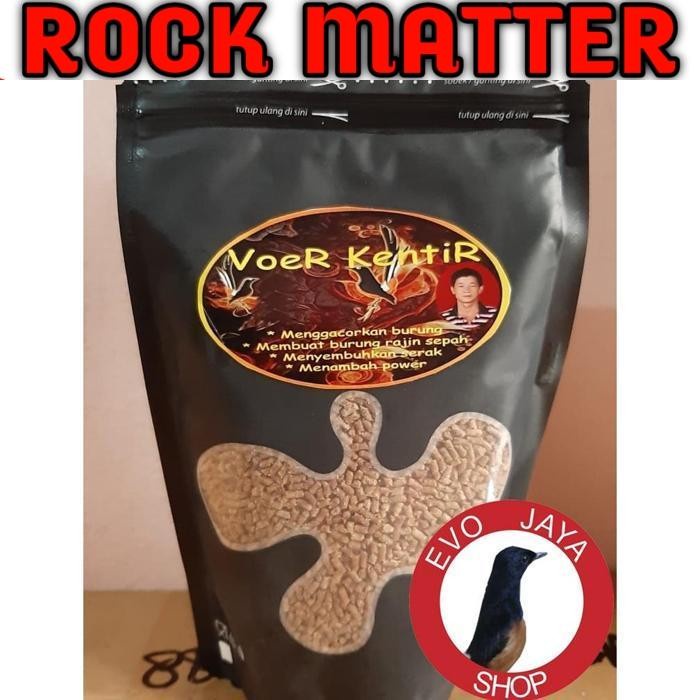 Voer Kentir Pakan Murai Batu Khusus Lomba Murah Terbaik
