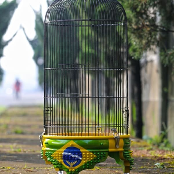 Sangkar Lbt Radja Brazil