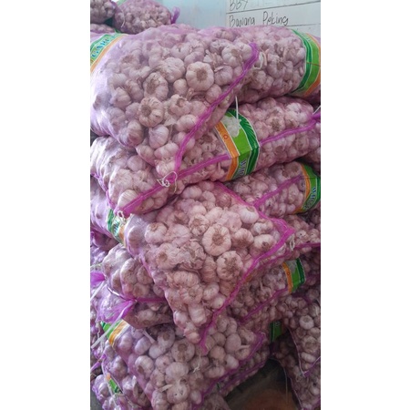 

Bawang putih sinco