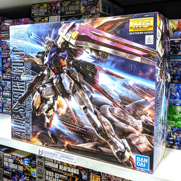 ✨New Mg Aile Strike Gundam Ver Rm Terbatas