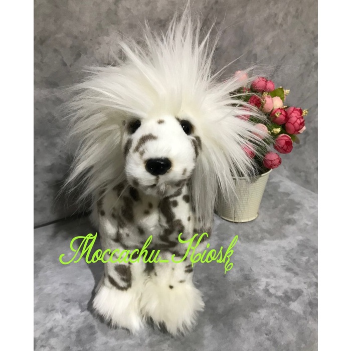 ✅New Ori Boneka Anjing Chinese Crested Dog / Chinese Crested Dog Doll Plush Toy Bisa Sameday