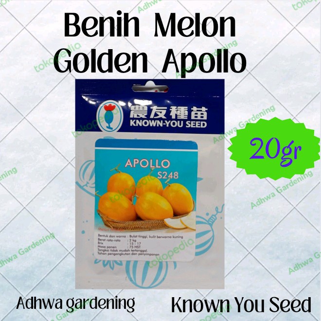Benih Melon Golden Apollo 20gr -/+(550biji) Original Known You Seed