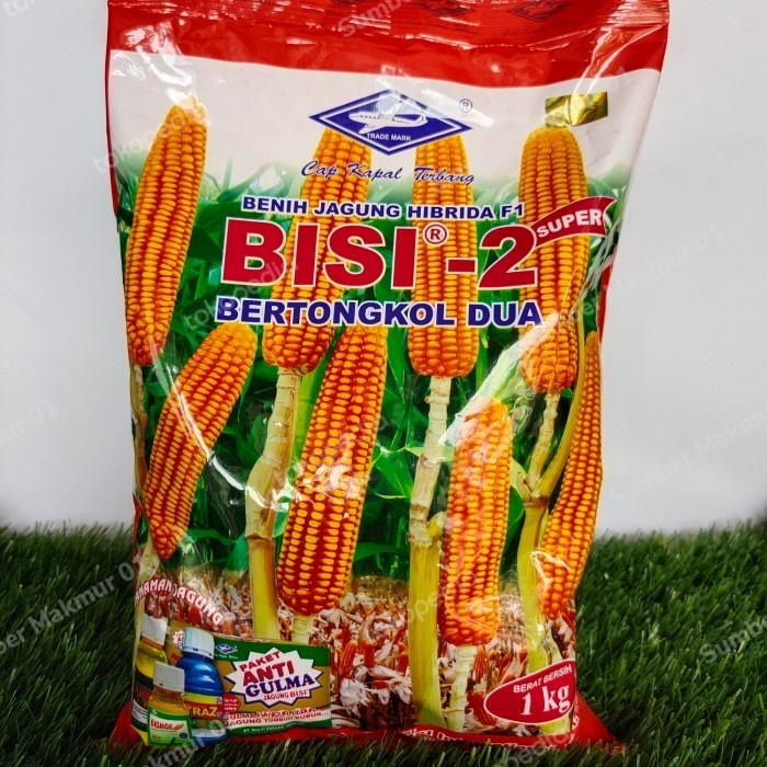 BENIH JAGUNG SUPER HIBRIDA BISI 2 BERTONGKOL 2