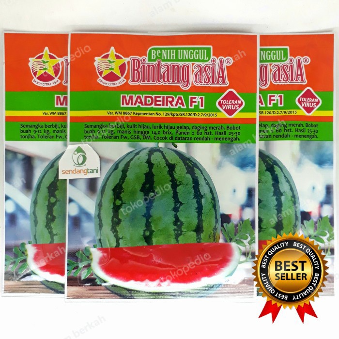 Benih Semangka Lorek MADEIRA F1 20 gr