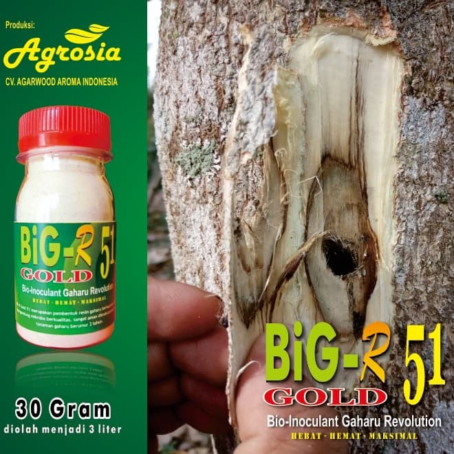 BiG-R Gold 51 - Inokulan Gubal Gaharu - 30 gram