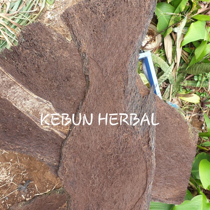 JUAL PAPAN PAKIS JUMBO UNTUK TANAMAN ANGGREK ATAU DEKORASI