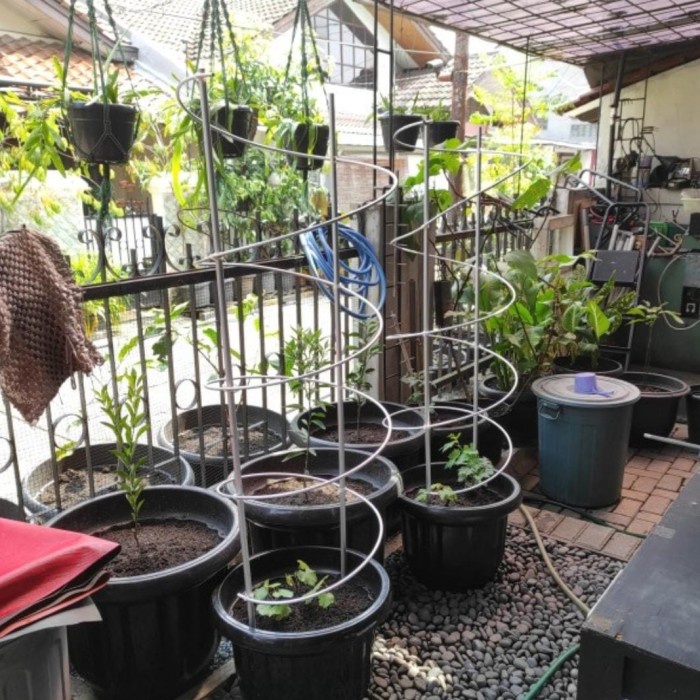Bestseller Tiang Rambatan Tanaman Anggur Tabulampot Alumunium 150Cm Ajir Spiral