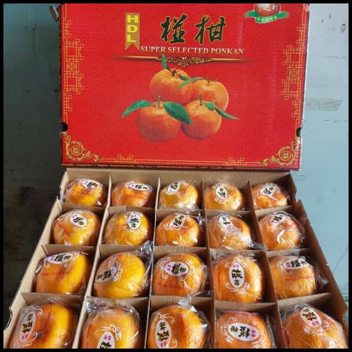 

GRATIS ONGKIR BUAH JERUK PONKAM ISI 40/ JERUK MANIS FRESH/ KADO !