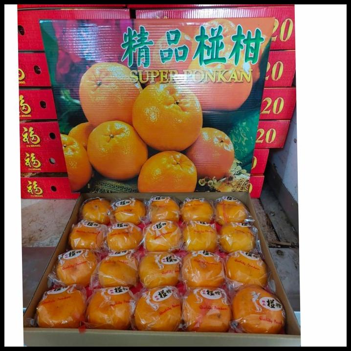 

BEST DEAL BUAH JERUK SUPER PONKAM 20/ JERUK IMPORT IMLEK/ KADO BUAH FRESH MURAH