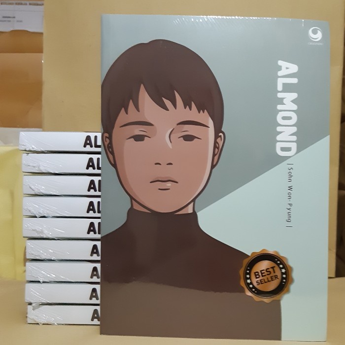 

NEW Novel Almond Sohn Won Pyung