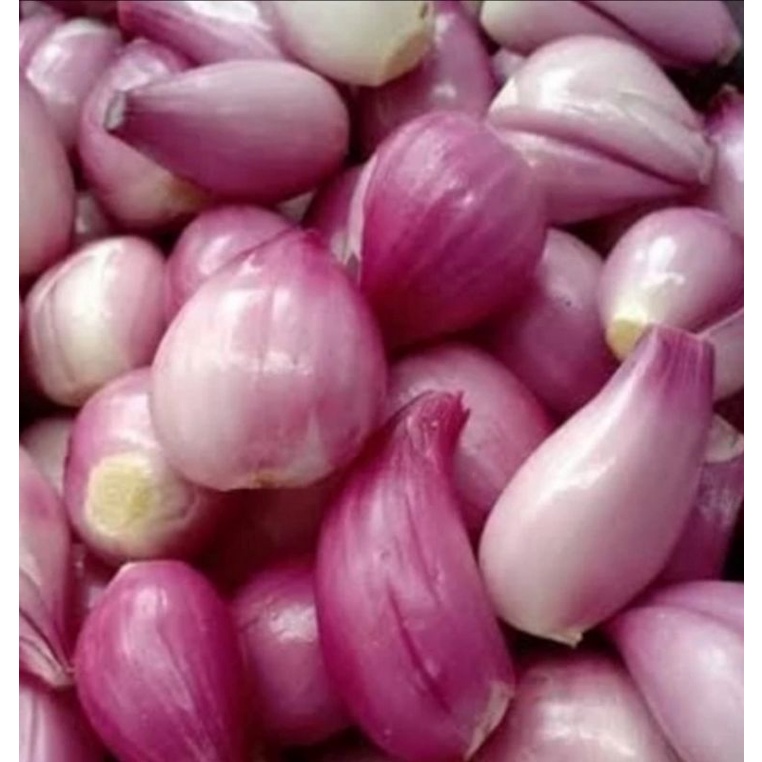 

BAWANG MERAH BREBES KUPAS 500 GRAM