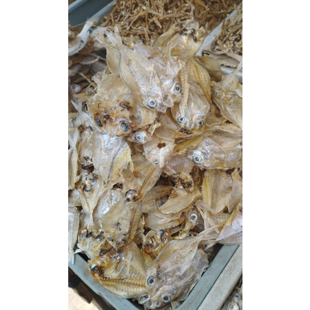 

ikan kering bening transparan tipis