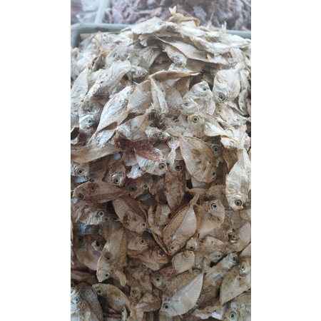 

gerih ikan kering dodok kecil