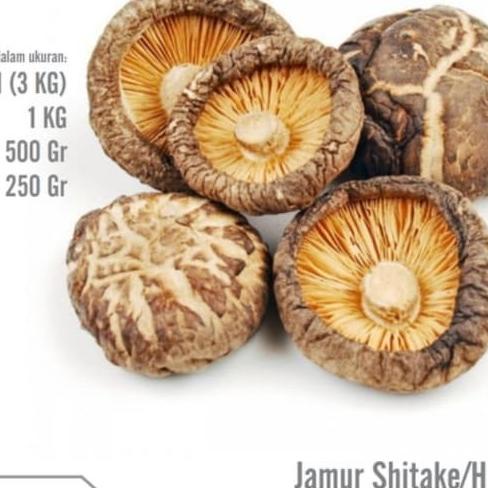 

Trend - hio ko/hiu ko jamur shitake mushroom 100 gr !