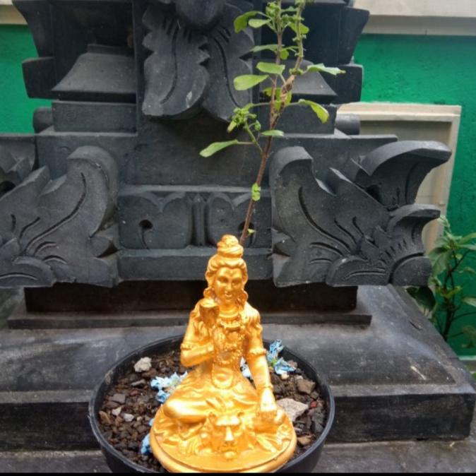 best seller] patung dewa siwa resin