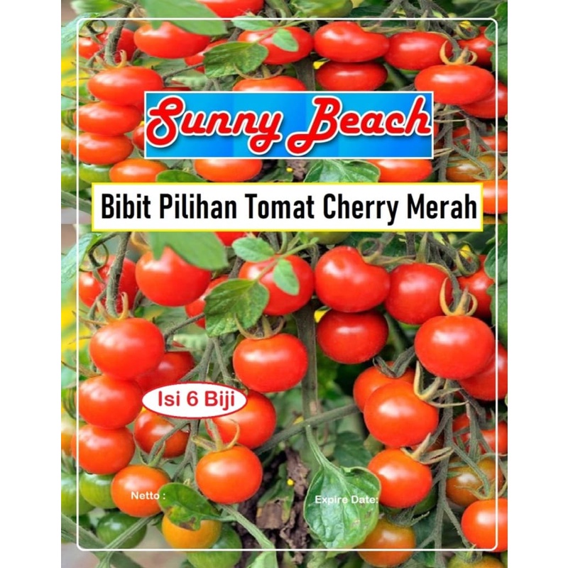 Bibit Pilihan Tomat Cherry Merah|Benih Tomat Ceri|Bibit Tomat Cery