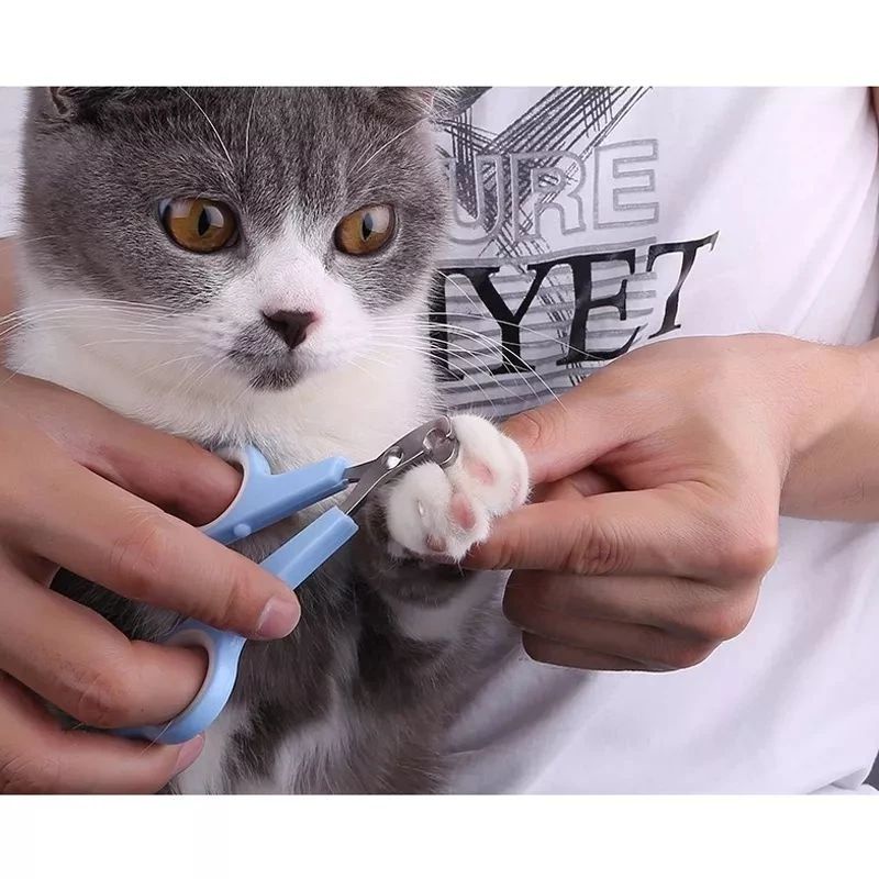 Gunting potong kuku kucing anjing cat dog potong kuku hewan