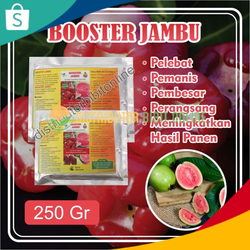 Pupuk Jambu Air, Pupuk Booster Jambu Kristal, Pupuk Jambu Cepat Berbuah, Pupuk Buah Terbaik