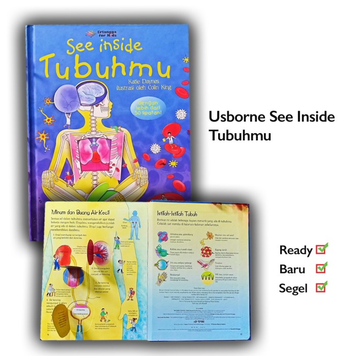Promo Buku See Inside Tubuhmu Terjemahan Usborne Bahasa Indonesia Erlangga