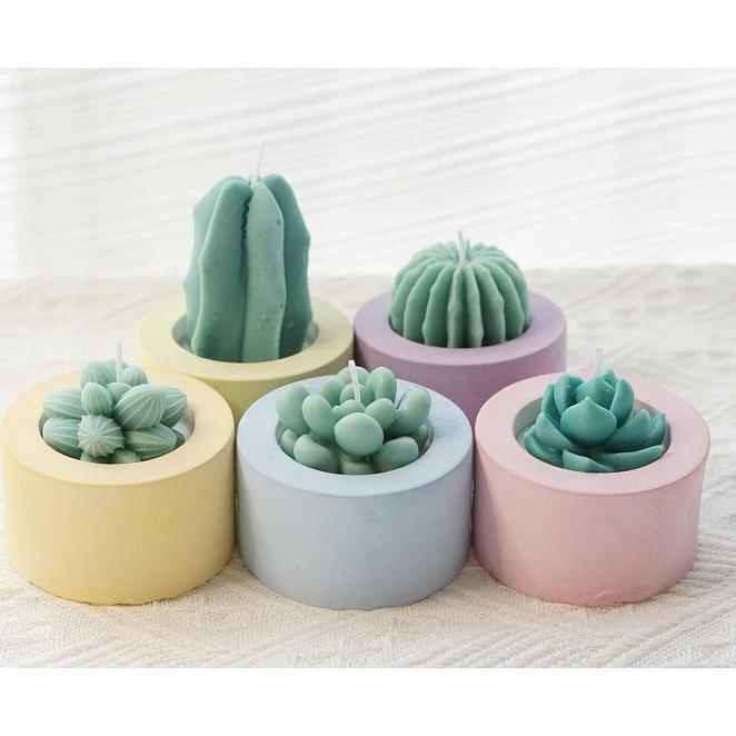 POT SEMEN MINI BULAT  + SUKULEN KAKTUS MINI  / POT DAN EDELWEIS