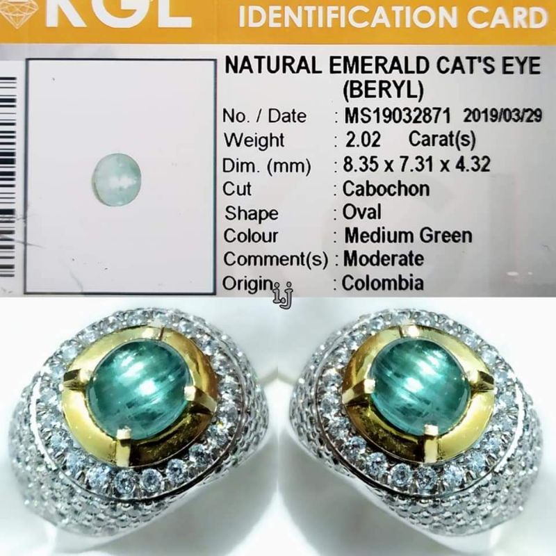 RARE ITEM Natural Emerald Cat Eye Colombia Zamrud Colombia Cat Eye 2ct KGL Crystall Nice Color Ring 