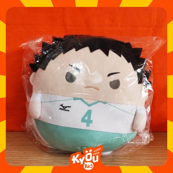 ✅Baru Haikyu Fuwakororin Big 4 B Iwaizumi Hajime Terbaru