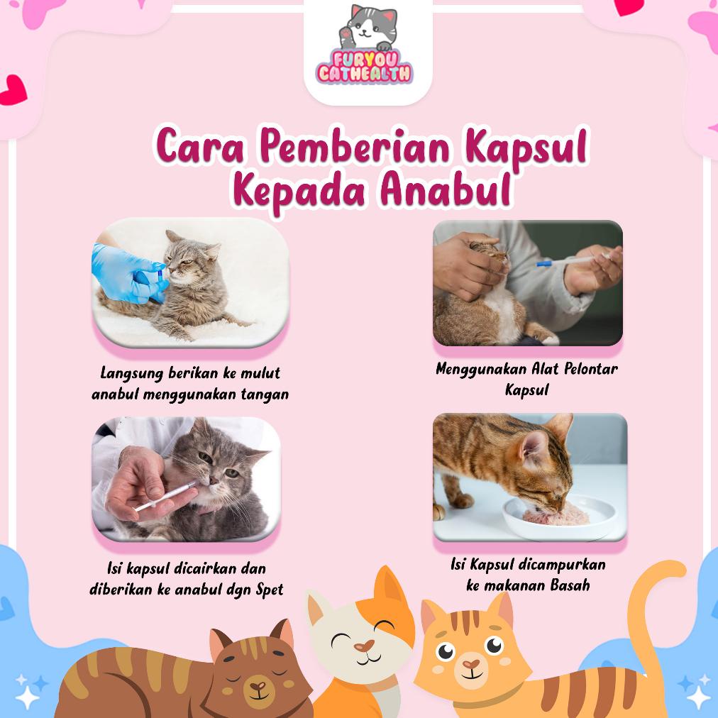 PROMO SPECIAL Fat Booster Pengemuk Kucing Penambah Berat Badan Kucing Vitamin untuk Menggemukkan Kuc