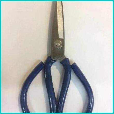 

Gunting Kain Model Kodok Jumbo 22cm Bahan Baja Kualitas Bagus 20JVLZ3