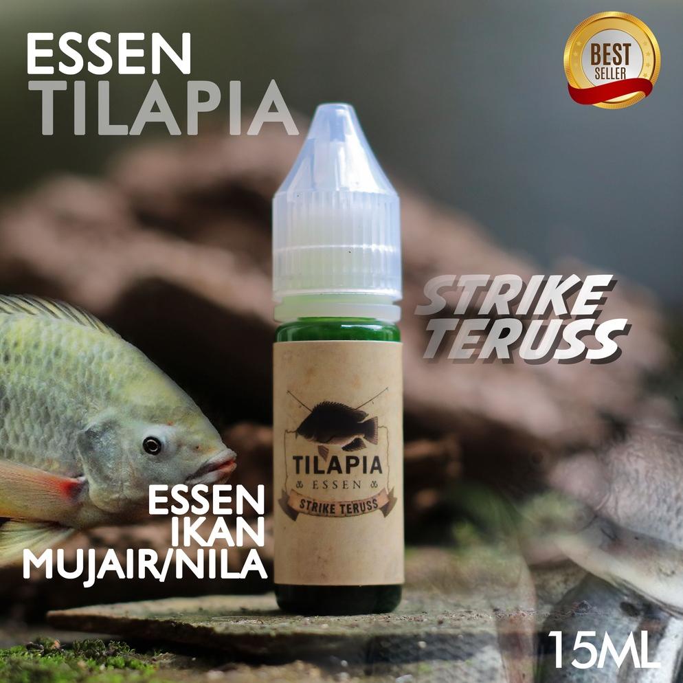 Terlaris PROMO TILAPIA ESSEN IKAN NILA IKAN MUJAIR MUJAER LUMUT LUKUT Termurah