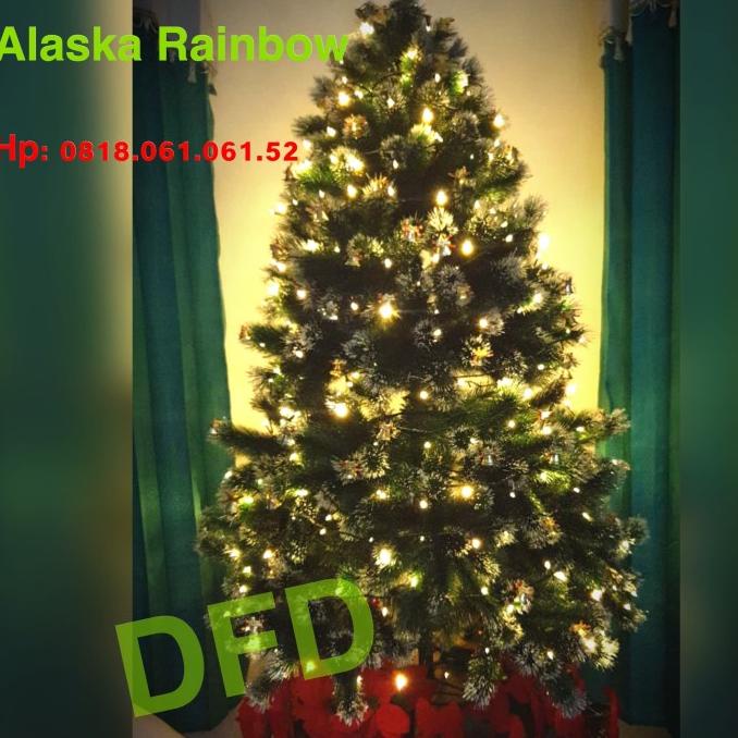 Terlaris Pohon Natal 2,1 Meter Alaska Rainbow Fir Chrismast Tree Original
