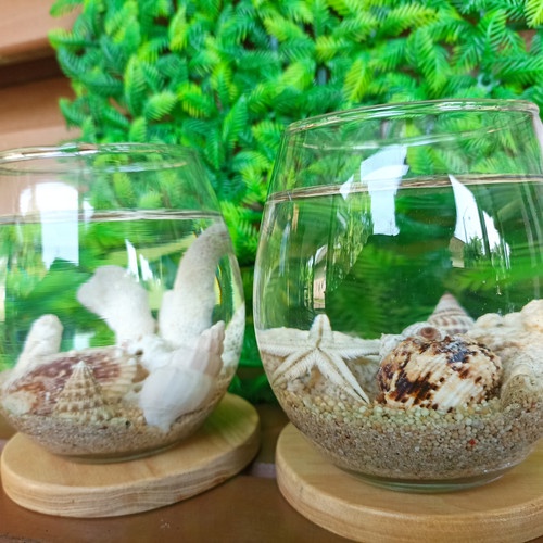 Paket Aquarium mini versi Laut Paket Aquarium ikan Cupang Guppy Aquarium miniatur Laut