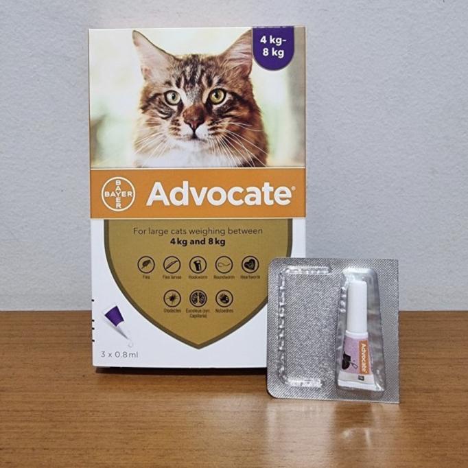 Advocate Cat Large 4-8 kg