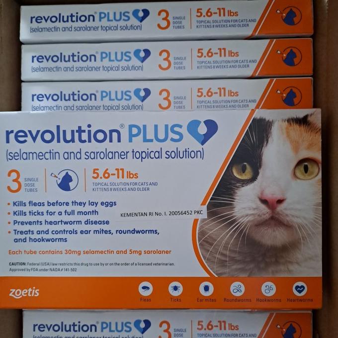Revolution Plus Cat ORANGE per tube 08.2025