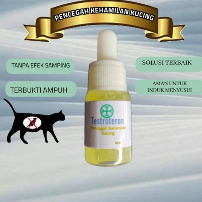 Testroteron Kb kucing obat pencegah kehamilan tanpa steril persia