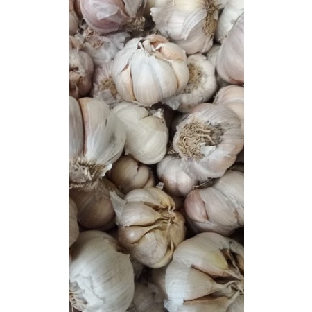 

Bawang Putih bersih 250g