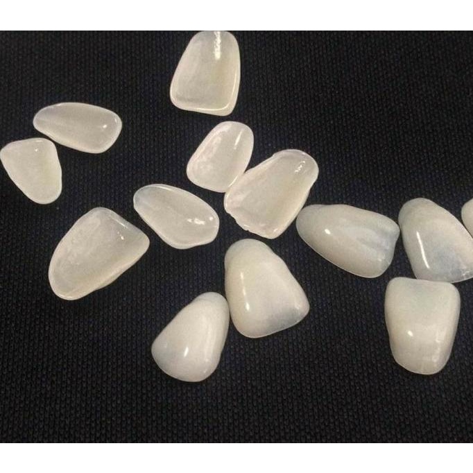 Veneer Gigi Palsu Putih 70 pcs Pemutih Gigi Estetika Gigi Bersih