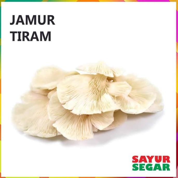 

Update! Jamur Tiram 250G ..