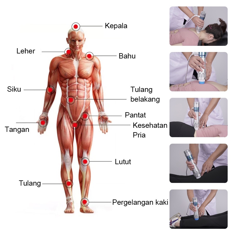 Garansi & Eswt Fisioterapi Showave Pain Relief Therapy Eswt 7 Kepala Sw15 Layar Sentuh - Alat
