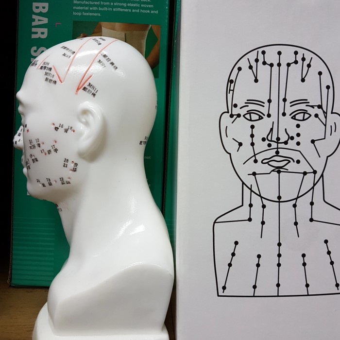 JM- Patung Akupuntur Model KEPALA / Boneka Titik Titik Akupuntur