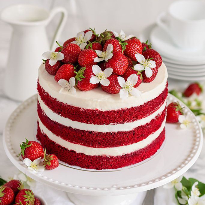 

Harga!! Trans Red Velvet Cake Mix Tepung Instant Kue Redvelvet