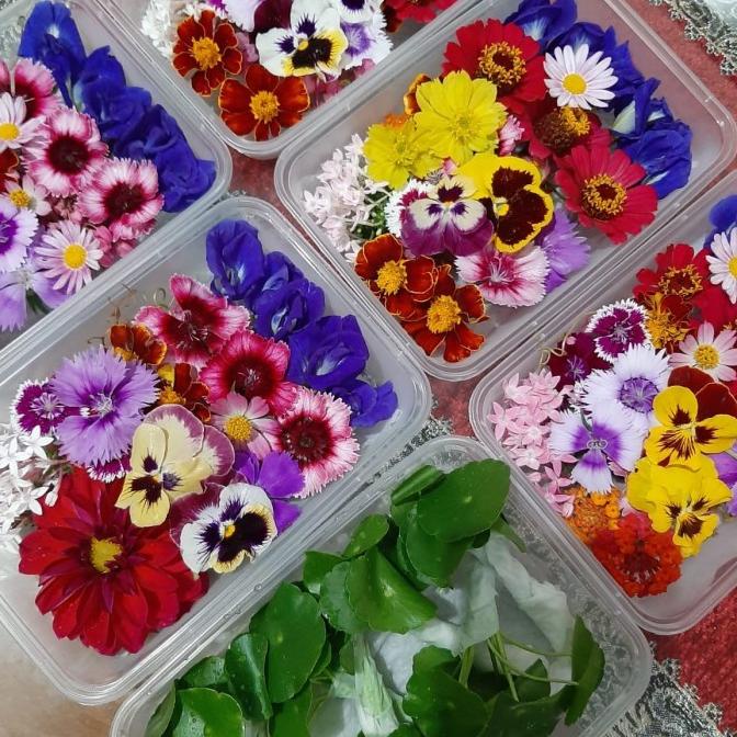 

Baru Edible Flowers / Bunga Edible - MIX 30pcs