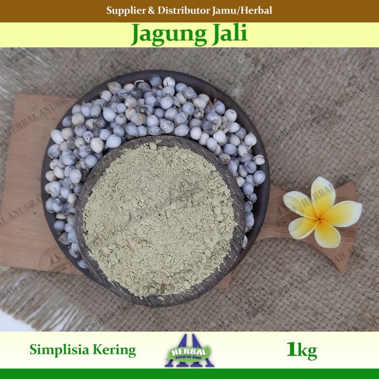 Jagung Jali (Kering) 1Kg | Coix Lacryma | Jali-Jali - 100% Murni #Herbal