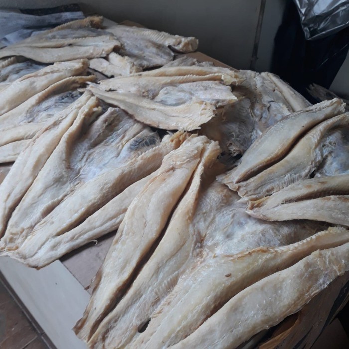 

Ikan Asin Jambal Roti 1 Kg Grade A Cap Toke Bagan Siapi Api