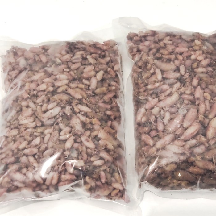 

Baby Cumi Asin Kering Premium Size 1-2Cm