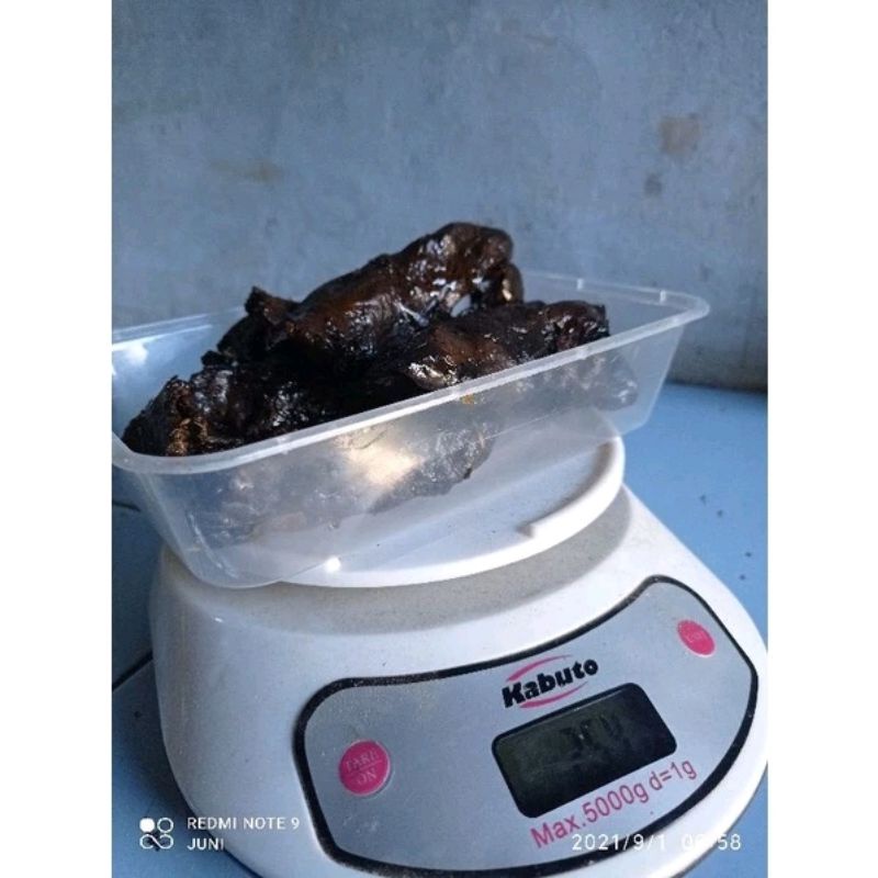 PROPOLIS KLANCENG / PROPOLIS TRIGONA FRESH / PROPOLIS MENTAH / PERASAN MADU