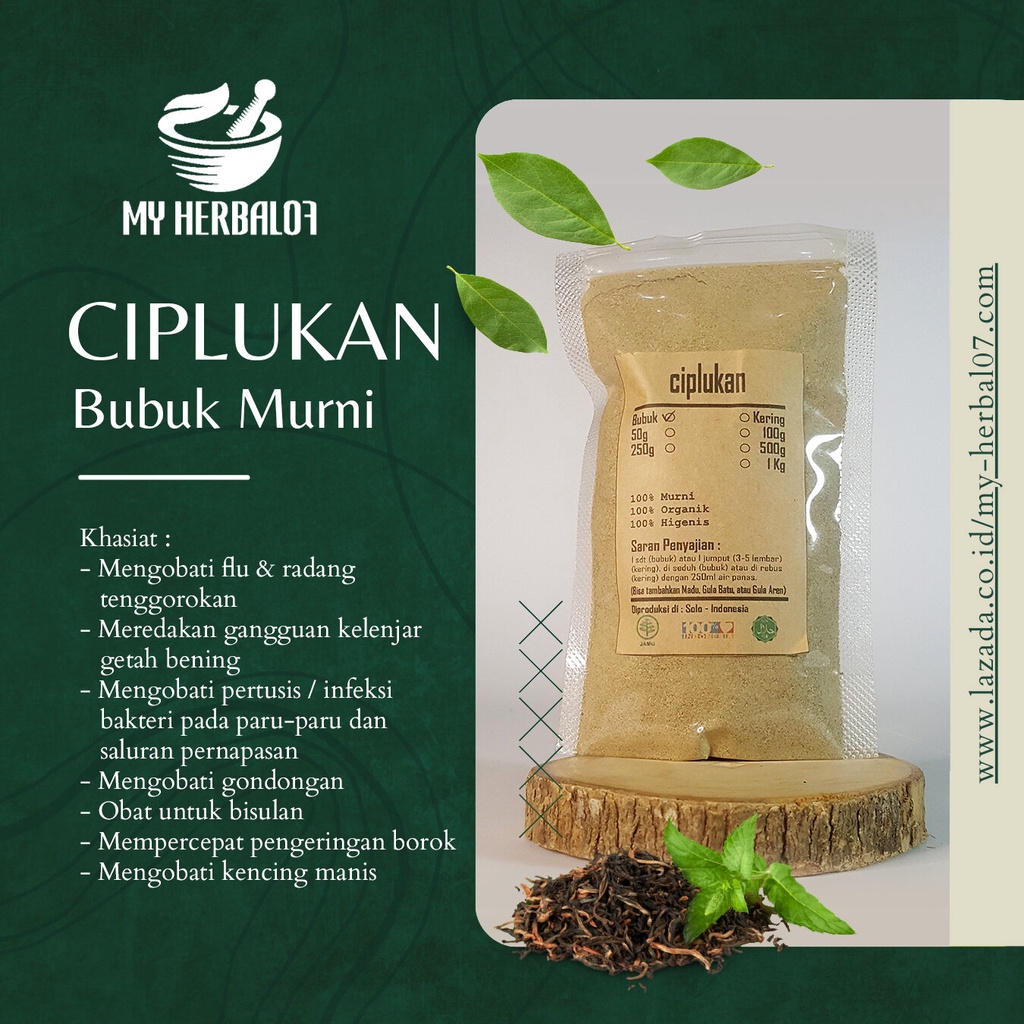 Herbal Kesehatan Buah Ciplukan Bubuk / Physalis Angulata 250 Gram