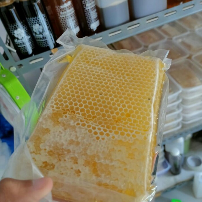 

madu sarang lebah asli murni100%