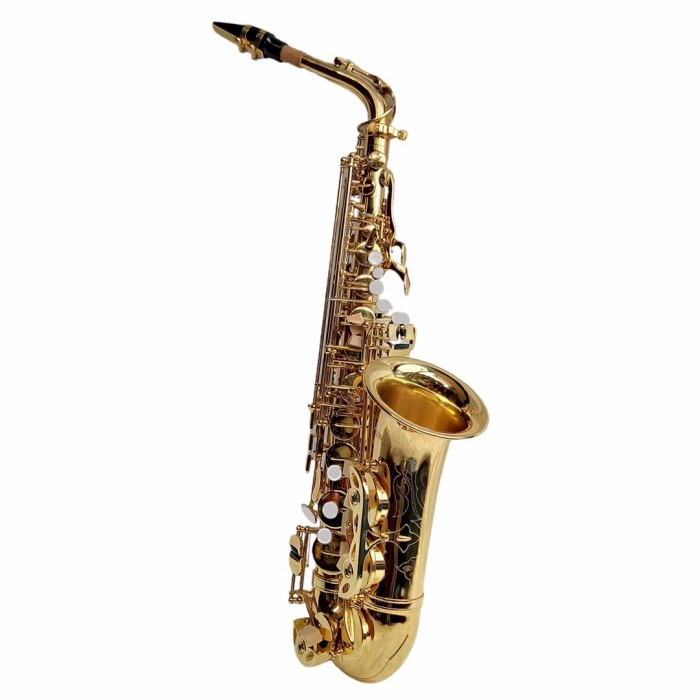 ✨Sale Alto Saxophone Antonio Alto Gold Ywas-01 Terbaru