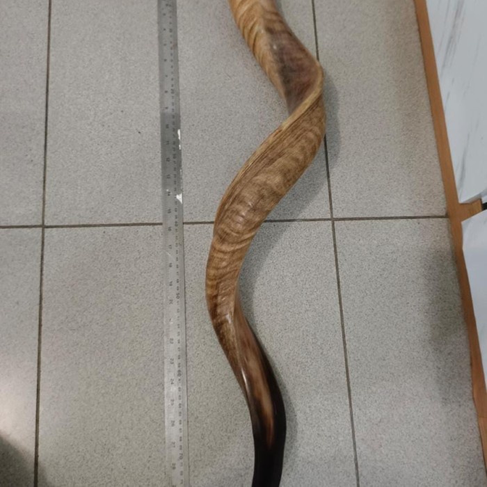 

✨Ready Shofar Israel Terompet Sangkakala Diskon